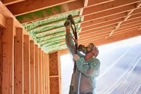 Eco-Friendly or Green Insulation Solutions in Aiken, SC